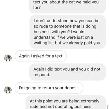 Bare Bottom Sphynx And Bambino - Pet Breeders Near Me Bare Bottom Sphynx And Bambino - Pet Breeders Near Me
