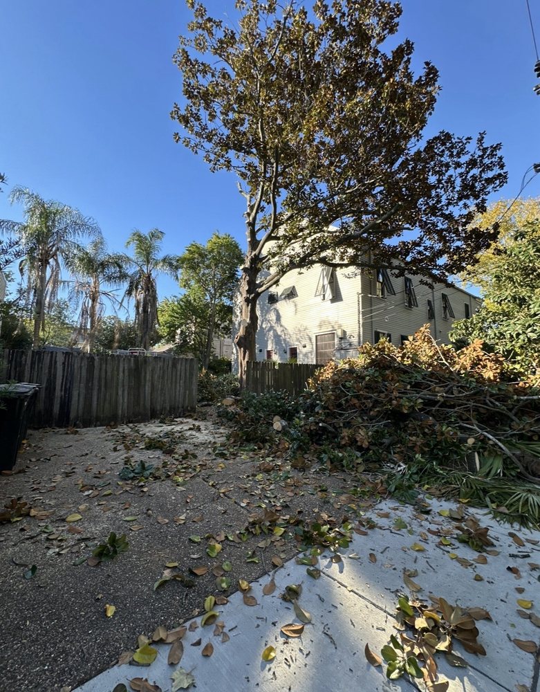 Clear View Tree Service - tree service in Hammond, LA