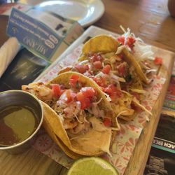 Señor Frogs