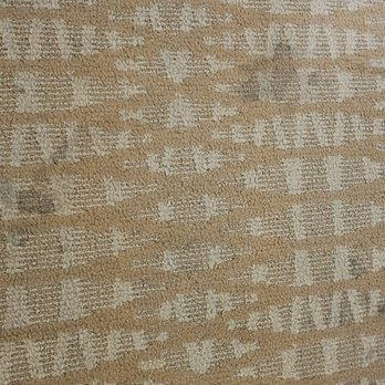 Pelican Inn & Suites - More carpet stains. - Hotels Near Me - Cambria, California Pelican Inn & Suites - More carpet stains. - Hotels Near Me - Cambria, California