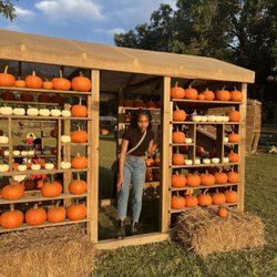 Priddy Farms - Pumpkin house!