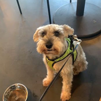The Plot - Vegan Near Me - Oceanside, California The Plot - Vegan Near Me - Oceanside, California