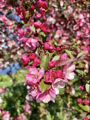 Greenbank Farm by null