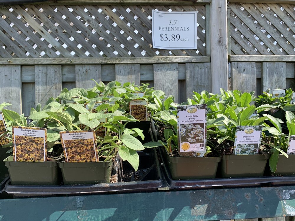 MISSISSAUGA GREENHOUSES & FLORIST Updated May 2024 98 Photos & 12