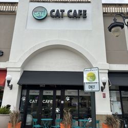Cattyshack Cat Cafe - Cat cafe
