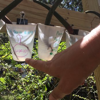 Deering Estate - Promise to keep the earth clean - Museums Near Me - Miami, Florida