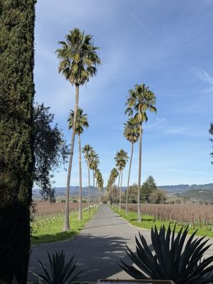 Round Pond Estate Winery by null