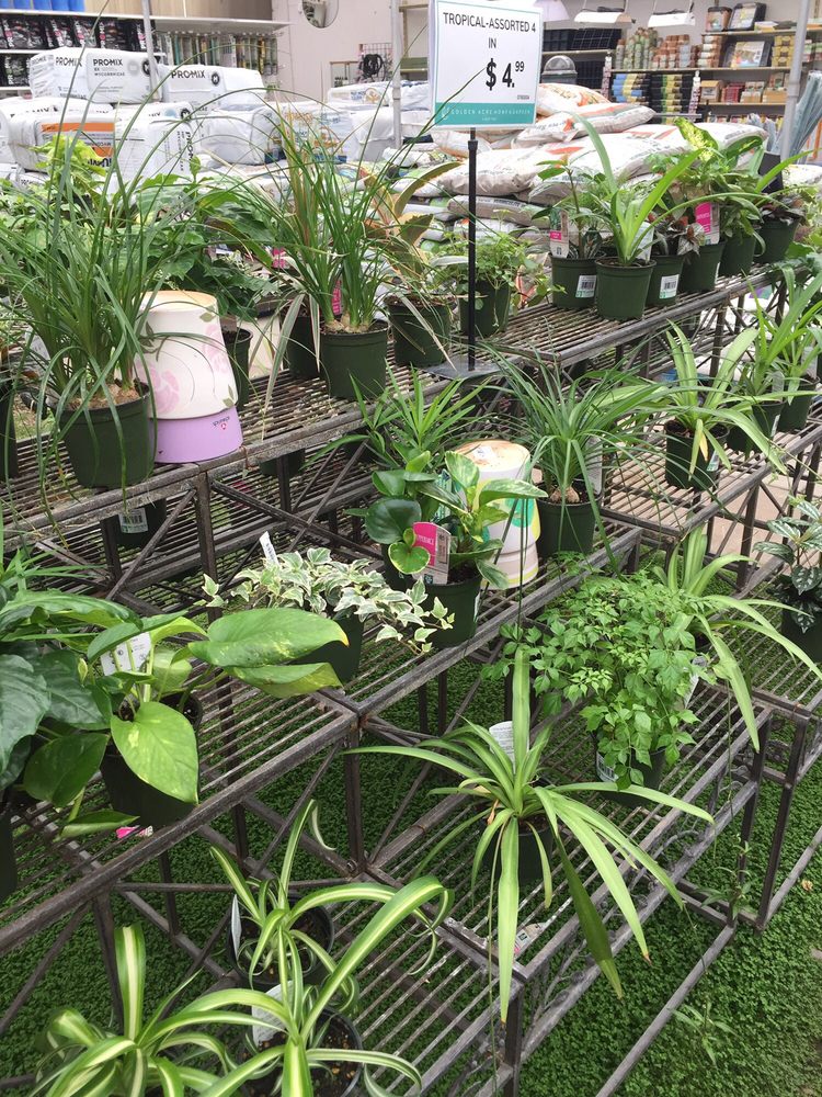 Green Acres Garden Center Calgary Fasci Garden