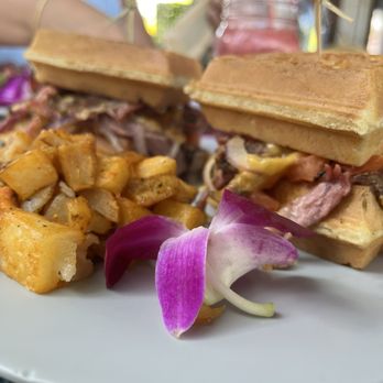 Bulegreen Cafe Yard - Cafes Near Me - Oakland Park, Florida Bulegreen Cafe Yard - Cafes Near Me - Oakland Park, Florida