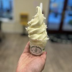The Pineapple Hut - Pineapple Whip with coconut flakes