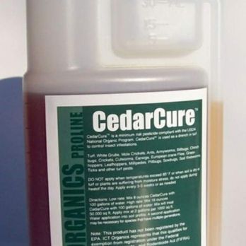 MTF Pest Management - A natural product for ticks - Pest Control Near Me MTF Pest Management - A natural product for ticks - Pest Control Near Me
