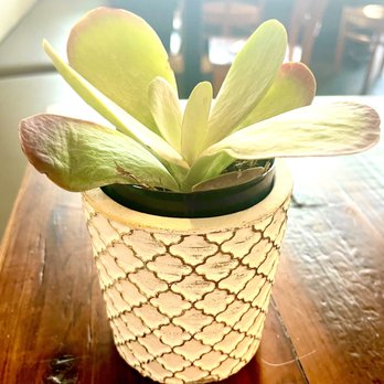 Bubbly Hen - Breakfast & Brunch Near Me - Montgomery, Alabama