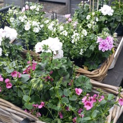 Tuincentrum van der Wurff - Vd Wurff kwekerij