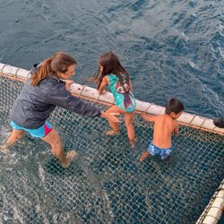 Moonshadow TQC Cruises - Boom net