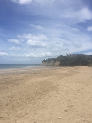 Long Bay Regional Park by null