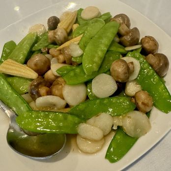 Twin Dragon Mandarin Cuisine - 7-27-24 Snow pea mushroom - Chinese Near Me - Auburn, California Twin Dragon Mandarin Cuisine - 7-27-24 Snow pea mushroom - Chinese Near Me - Auburn, California
