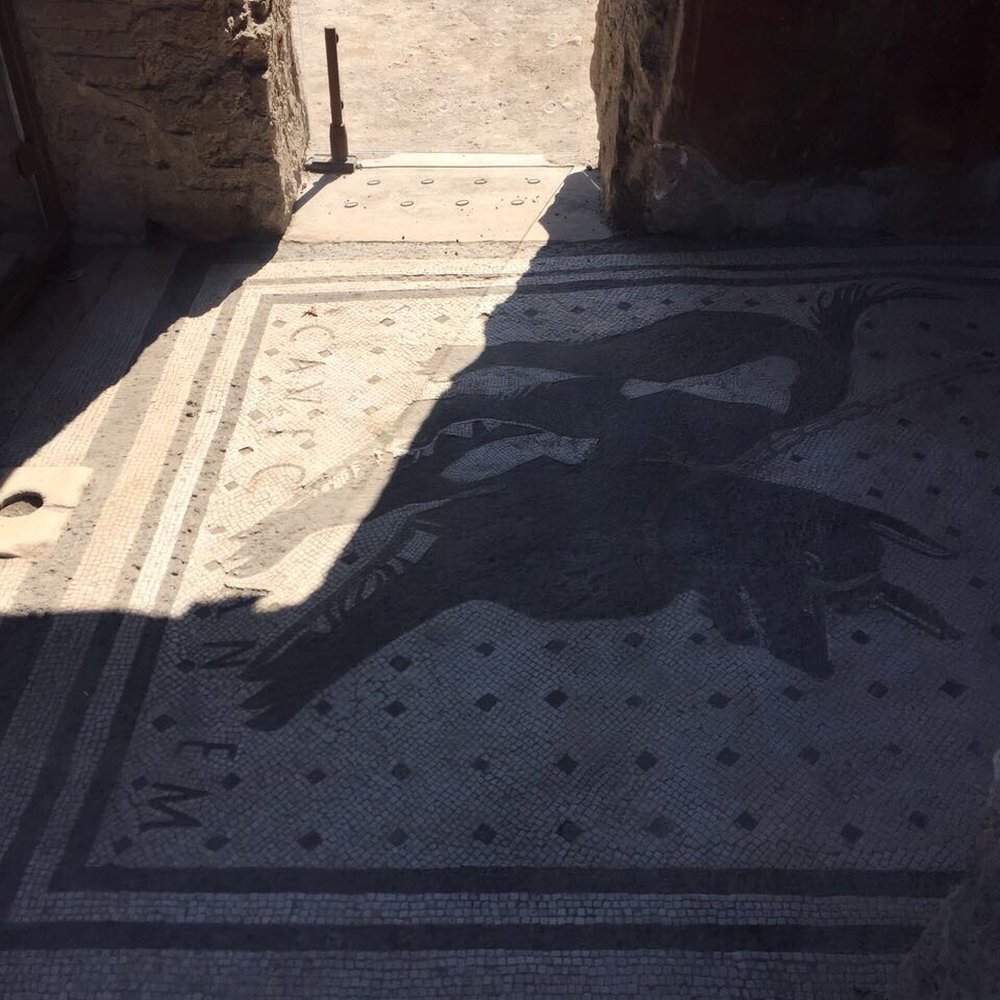 Scavi di Pompei - Beware of dog sign at the main entrance of a home. This famous mosaic is incredible. - Museums Near Me - Pompei, NA