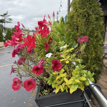 The Main Event - Flowers outside - American Near Me - Farmingdale, New York The Main Event - Flowers outside - American Near Me - Farmingdale, New York