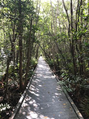 Four Mile Cove Ecological Preserve by null