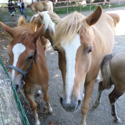 La Corte Maraschi