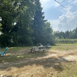 Legendary Blueberries - Relaxing and shaded hang out area by the entrance