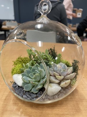 Succulence by null