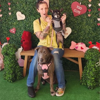An Ideal Dog Wash - Post bath Valentine's Day photo shoot - Pet Groomers Near Me - Anaheim, California