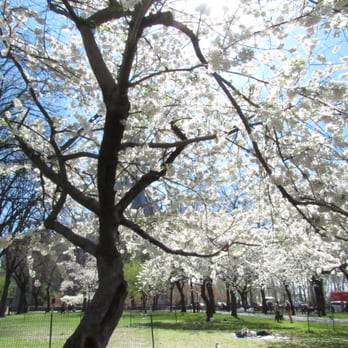 Sakura Park - Parks Near Me - New York, New York Sakura Park - Parks Near Me - New York, New York