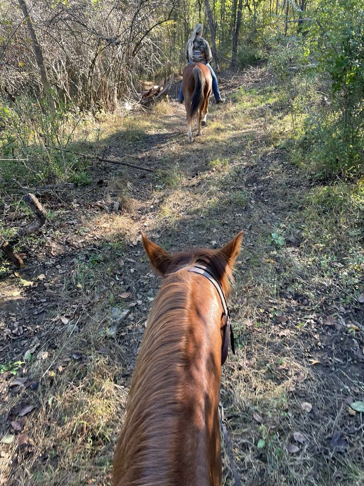 Rolling Hills Ranch - equestrian in Bridgeville, PA