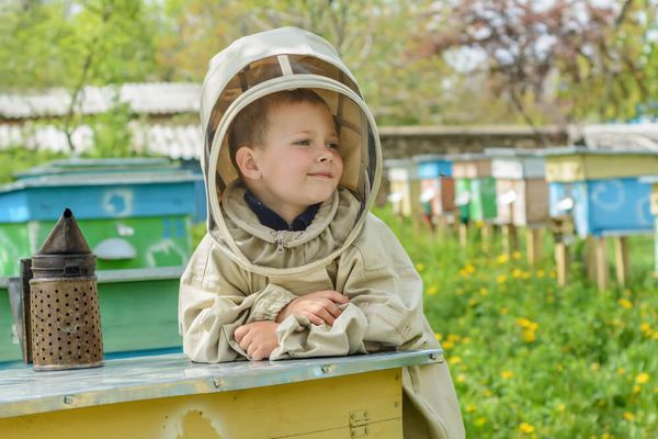 Save The Bees USA by null