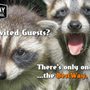 Photo of Bestway Wildlife Control