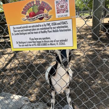 Robert Is Here - Fruits & Veggies Near Me - Homestead, Florida Robert Is Here - Fruits & Veggies Near Me - Homestead, Florida
