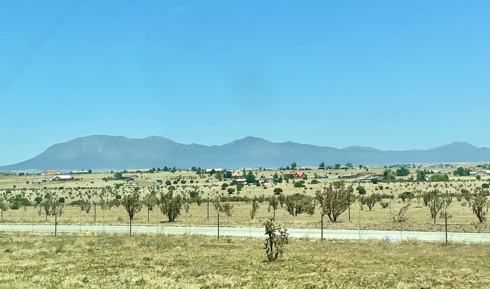 WALGREENS Updated August 2024 10 Reviews 5 Walker Rd, Edgewood