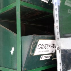 La Conejita Carro Verde - Contenedores de hierbas para té.