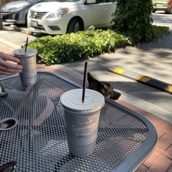 Black Mountain Coffee Roasting - Nitro cold brew and sitting in the front outside area - Coffee Roasteries Near Me - Idyllwild, California Black Mountain Coffee Roasting - Nitro cold brew and sitting in the front outside area - Coffee Roasteries Near Me - Idyllwild, California