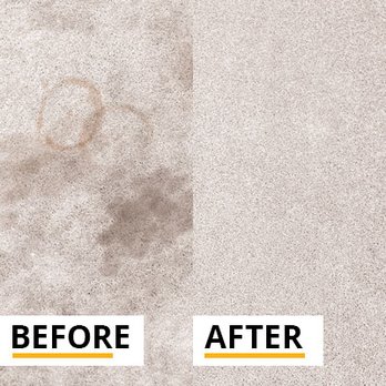 Stanley Steemer - Carpet Cleaning Near Me - West Allis, Wisconsin Stanley Steemer - Carpet Cleaning Near Me - West Allis, Wisconsin