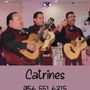 Photo of Catrines Trío Mariachi