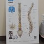 Ohmedica Joint and Spine Health Specialists