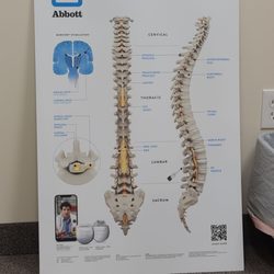 Ohmedica Joint and Spine Health Specialists - Spine diagram