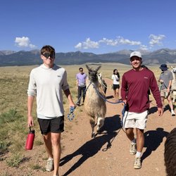 Llama Trekking By Lookin Up Outfitters