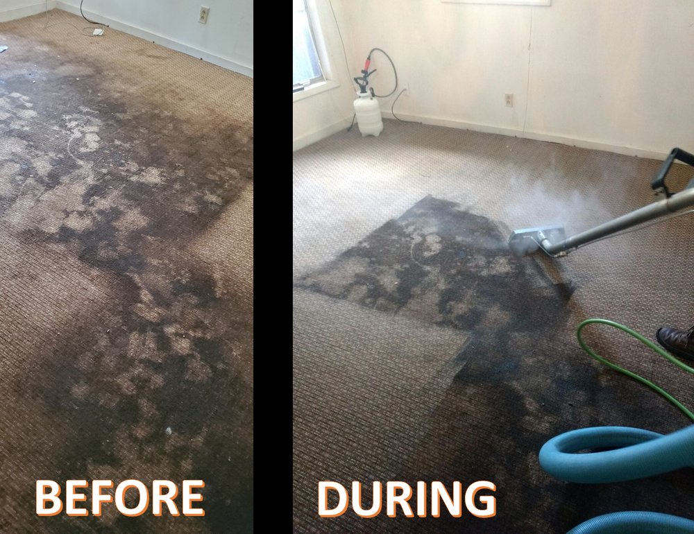 JNC CARPET SYSTEMS Updated August 2024 12 Photos 113 Glyndale Cir