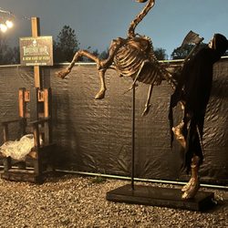 The Thirteenth Hour Haunted Attraction