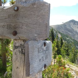 Mount Aix Trail - Trail Fork