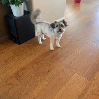 Spoiled Petz - Pet Groomers Near Me - Reno, Nevada Spoiled Petz - Pet Groomers Near Me - Reno, Nevada