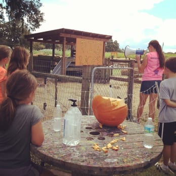 Sweetfields Farm - Yep. You can train pigs to race. It's pretty hilarious. - Farmers Market Near Me - Masaryktown, Florida