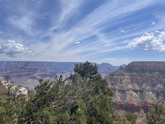Canyon Adventures Bike Tours & Café by null