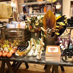 Anthropologie