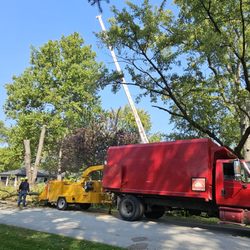 Abel's Landscaping Forestry