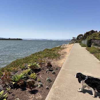 Towata Park - Parks Near Me - Alameda, California Towata Park - Parks Near Me - Alameda, California