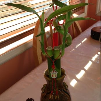Kam Fung - Bamboo, charms and stand are from this awesome shop! - Gift Shops Near Me - San Diego, California